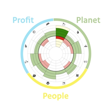 Roos ingevuld-planet-people-profit